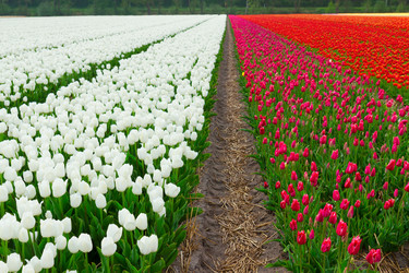 Similar image 20299418