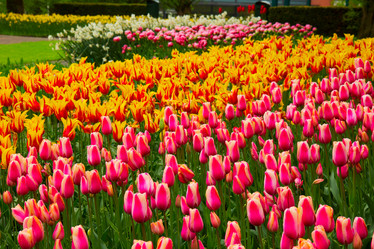 Similar image 20299432