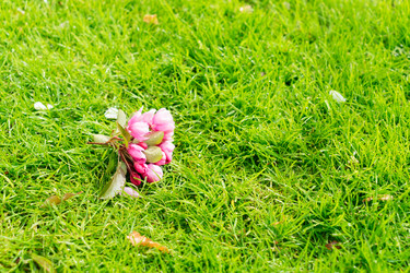 Similar image 20298469