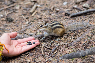 Similar image 20227089