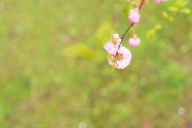 Similar image 20299334