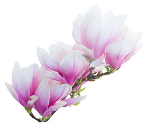 Similar image 20298315