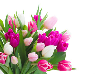 Similar image 20298317