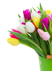 Similar image 20298328