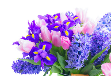 Similar image 20298503