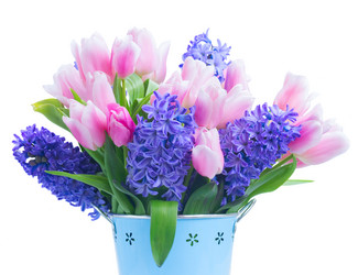 Similar image 20298504