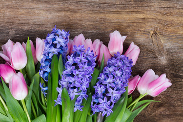 Similar image 20298505