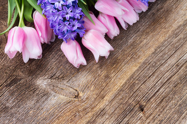 Similar image 20298531