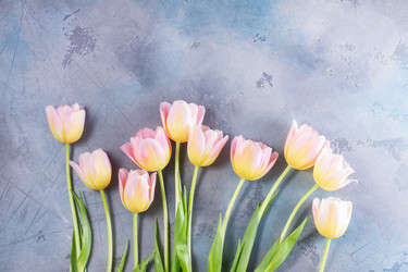 Similar image 20298558