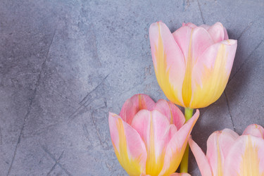 Similar image 20298560