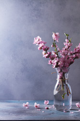 Similar image 20298584