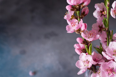 Similar image 20298606