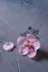 Similar image 20298607