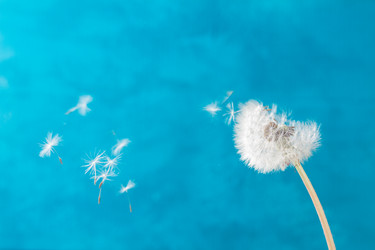 Similar image 20298832