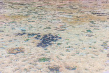 Similar image 20268239