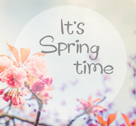 Similar image 20298877