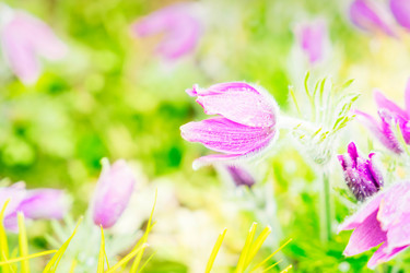 Similar image 20298880