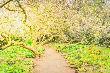 Similar image 20298883