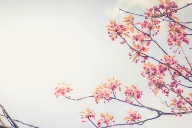 Similar image 20298909