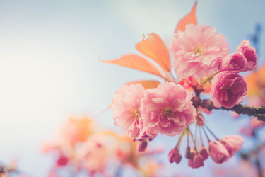 Similar image 20298912