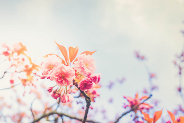 Similar image 20298915