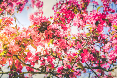 Similar image 20298935