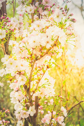 Similar image 20298936