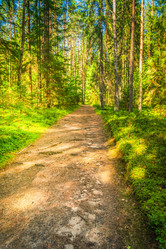 Similar image 20298939