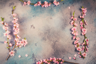 Similar image 20298993