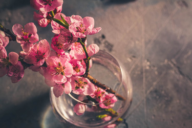 Similar image 20298997