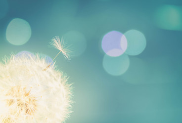 Similar image 20299003