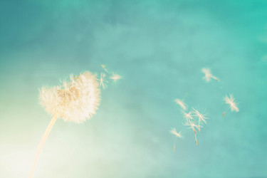 Similar image 20299004