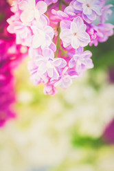 Similar image 20299019