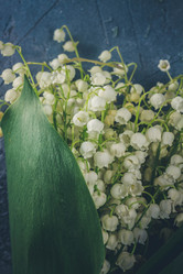 Similar image 20299020