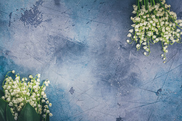 Similar image 20299074