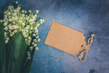 Similar image 20299060