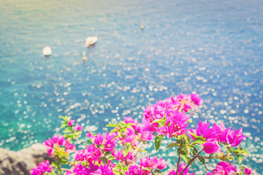 Similar image 20299336