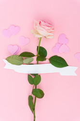 Similar image 20298847