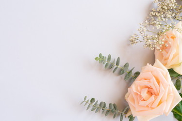 Similar image 20299237