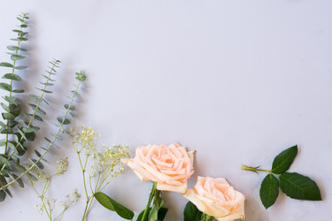 Similar image 20299253