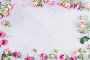 Similar image 20299254