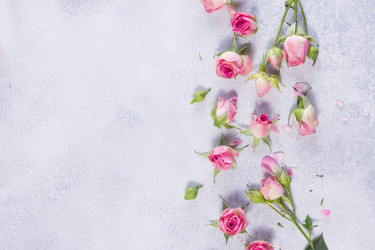 Similar image 20299279