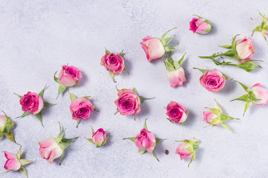 Similar image 20299339