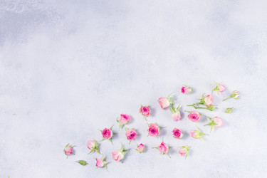 Similar image 20299340