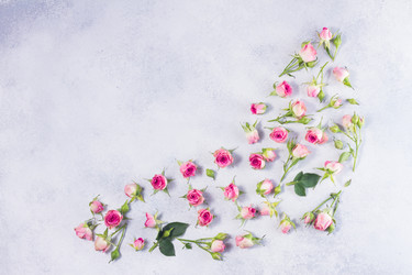 Similar image 20299341