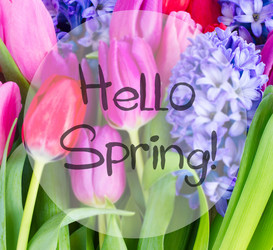 Similar image 20299379