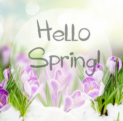 Similar image 20298846