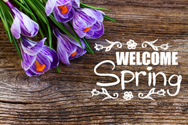 Similar image 20298940