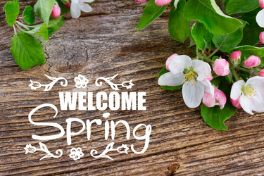 Similar image 20298959