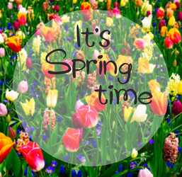 Similar image 20299433